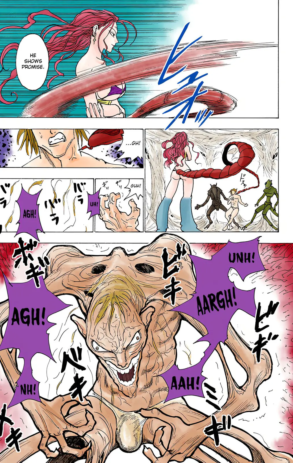 Hunter x Hunter Colored Manga, chapter 224, page 14
