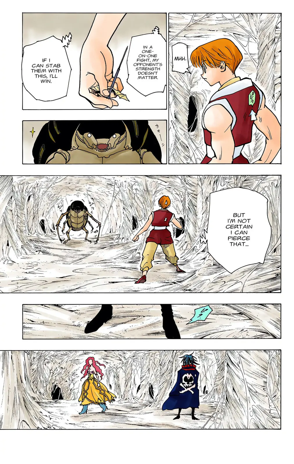 Hunter x Hunter Colored Manga, chapter 225, page 13
