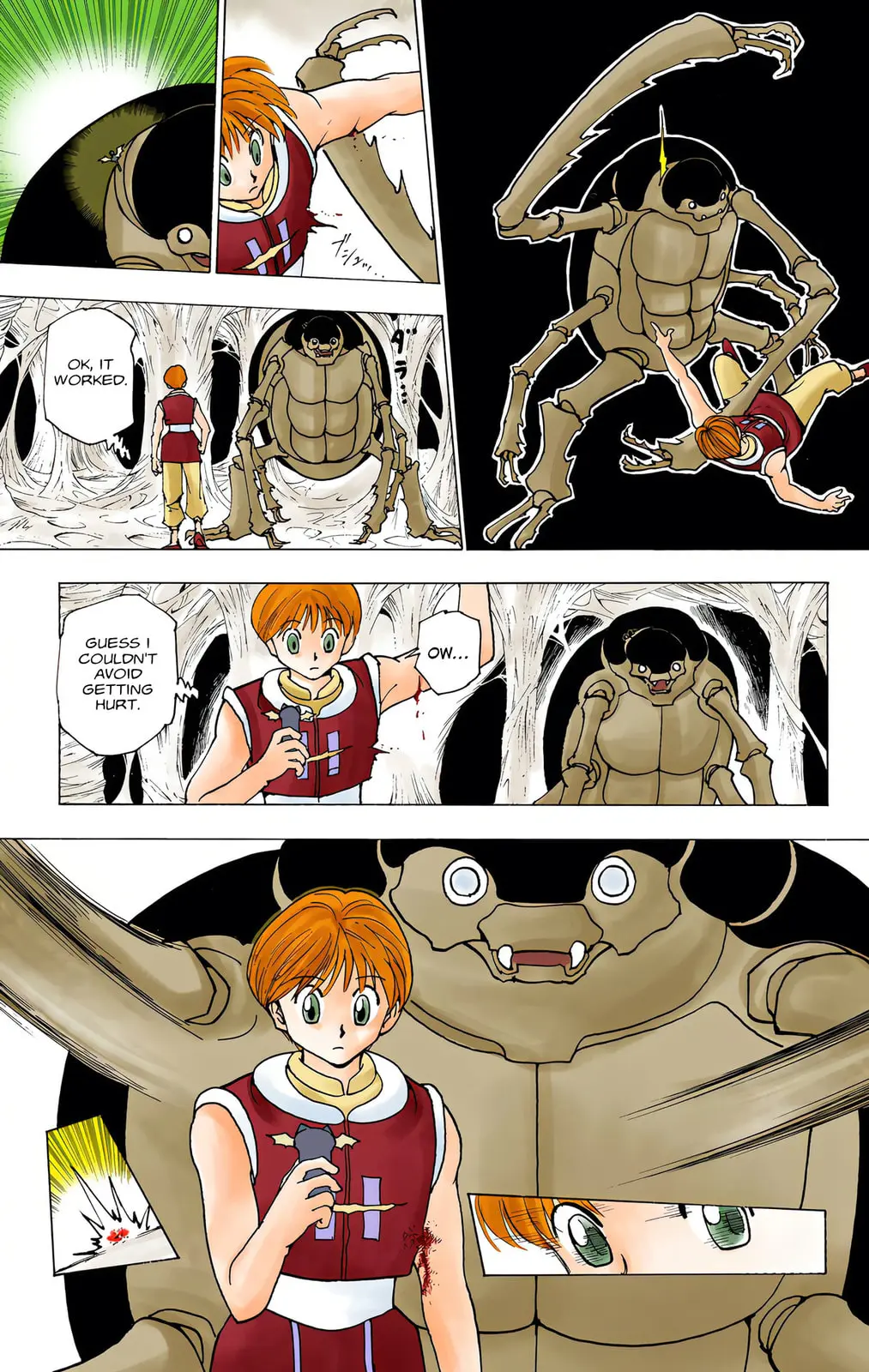 Hunter x Hunter Colored Manga, chapter 226, page 9