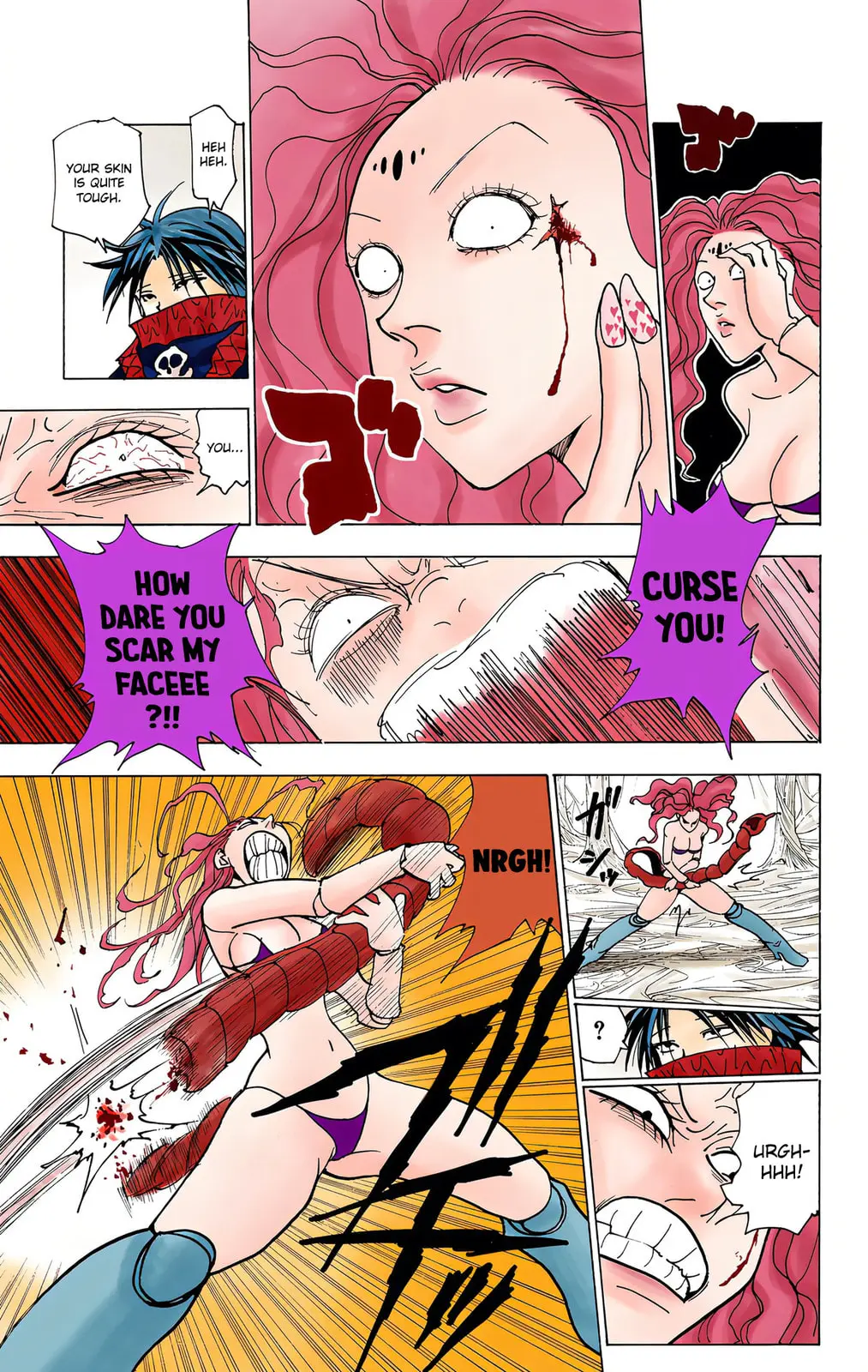 Hunter x Hunter Colored Manga, chapter 228, page 11
