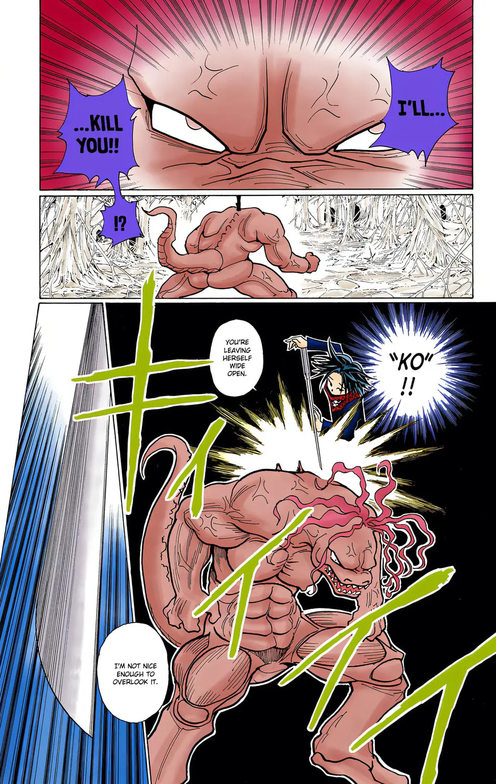 Hunter x Hunter Colored Manga, chapter 228, page 13