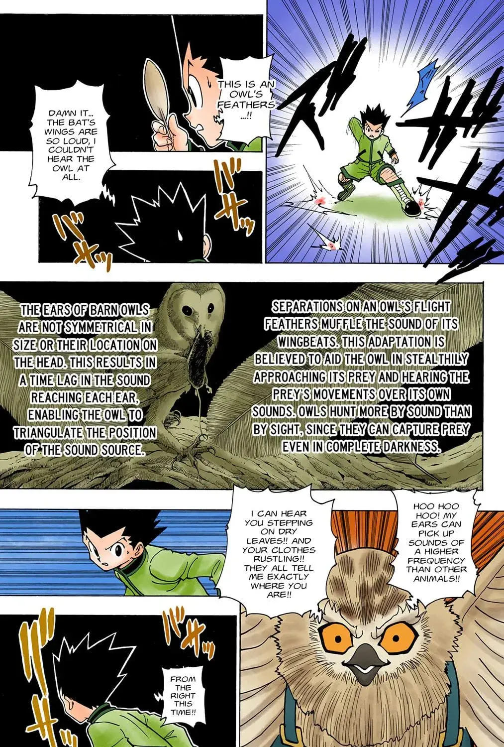 Hunter x Hunter Colored Manga, chapter 232, page 5