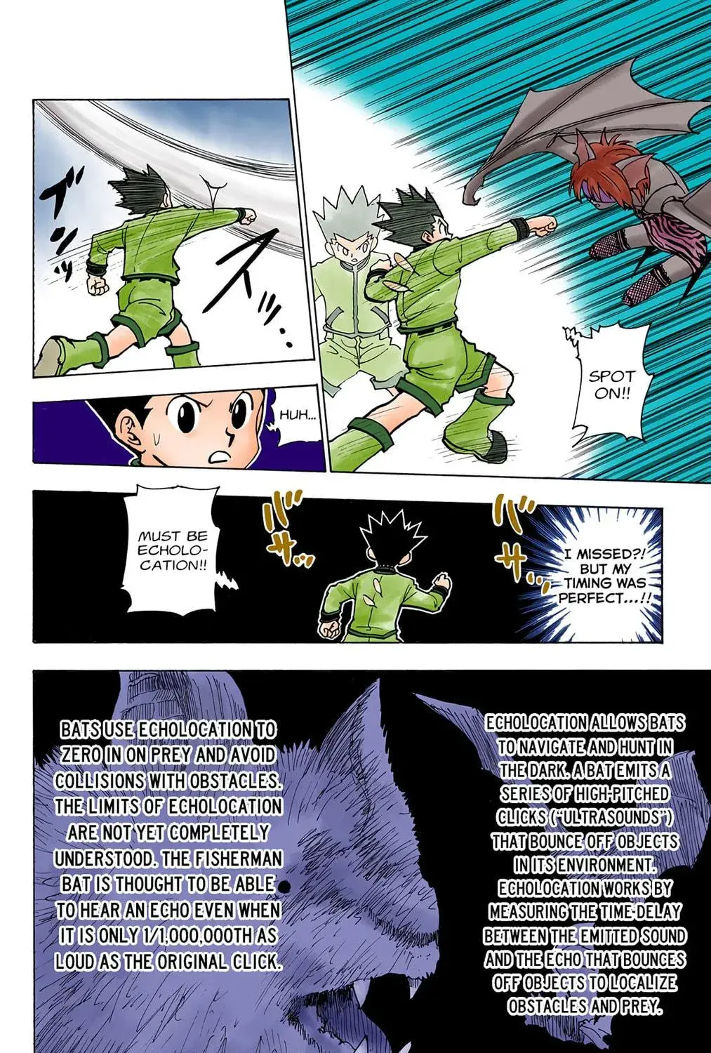 Hunter x Hunter Colored Manga, chapter 232, page 11
