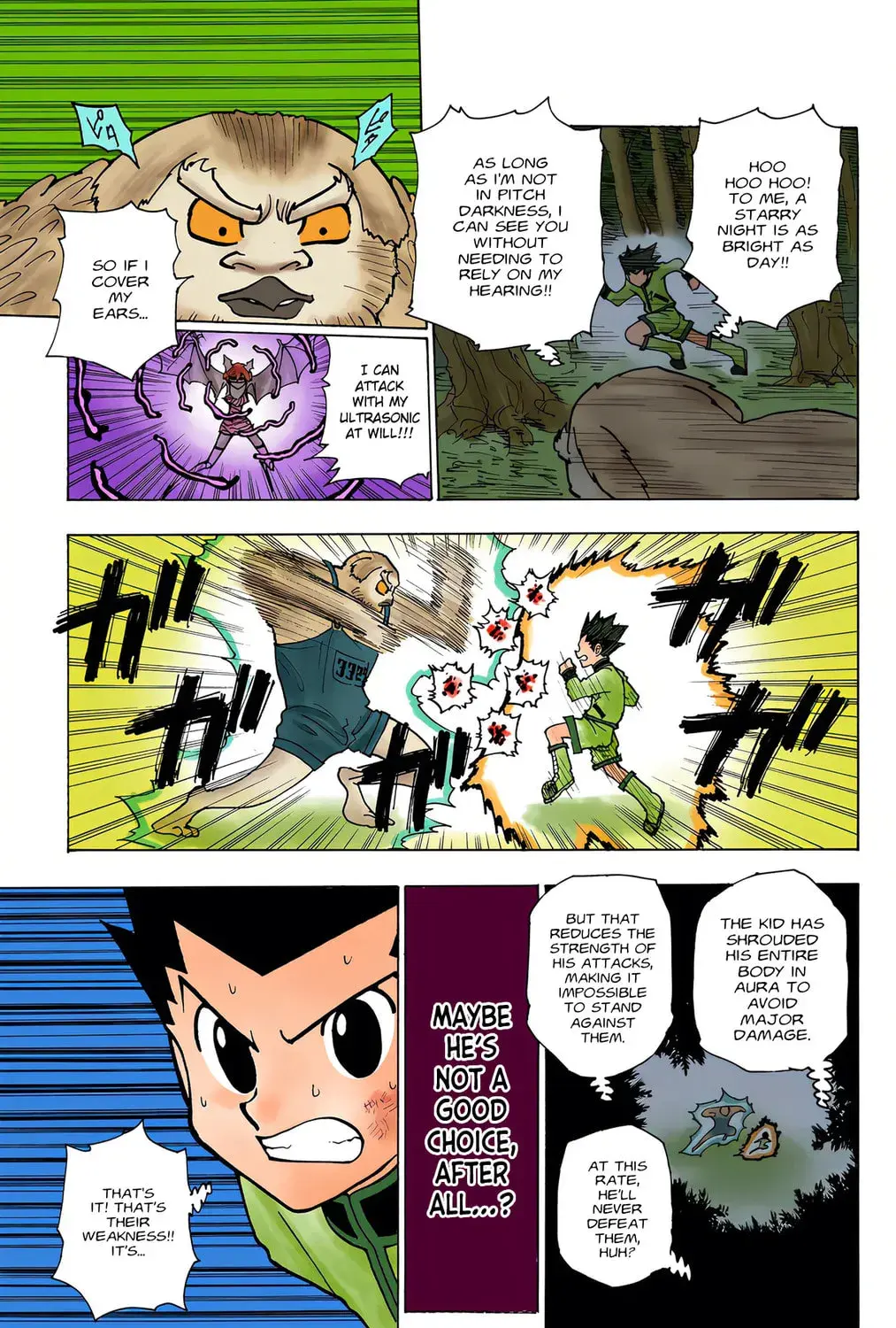 Hunter x Hunter Colored Manga, chapter 233, page 13