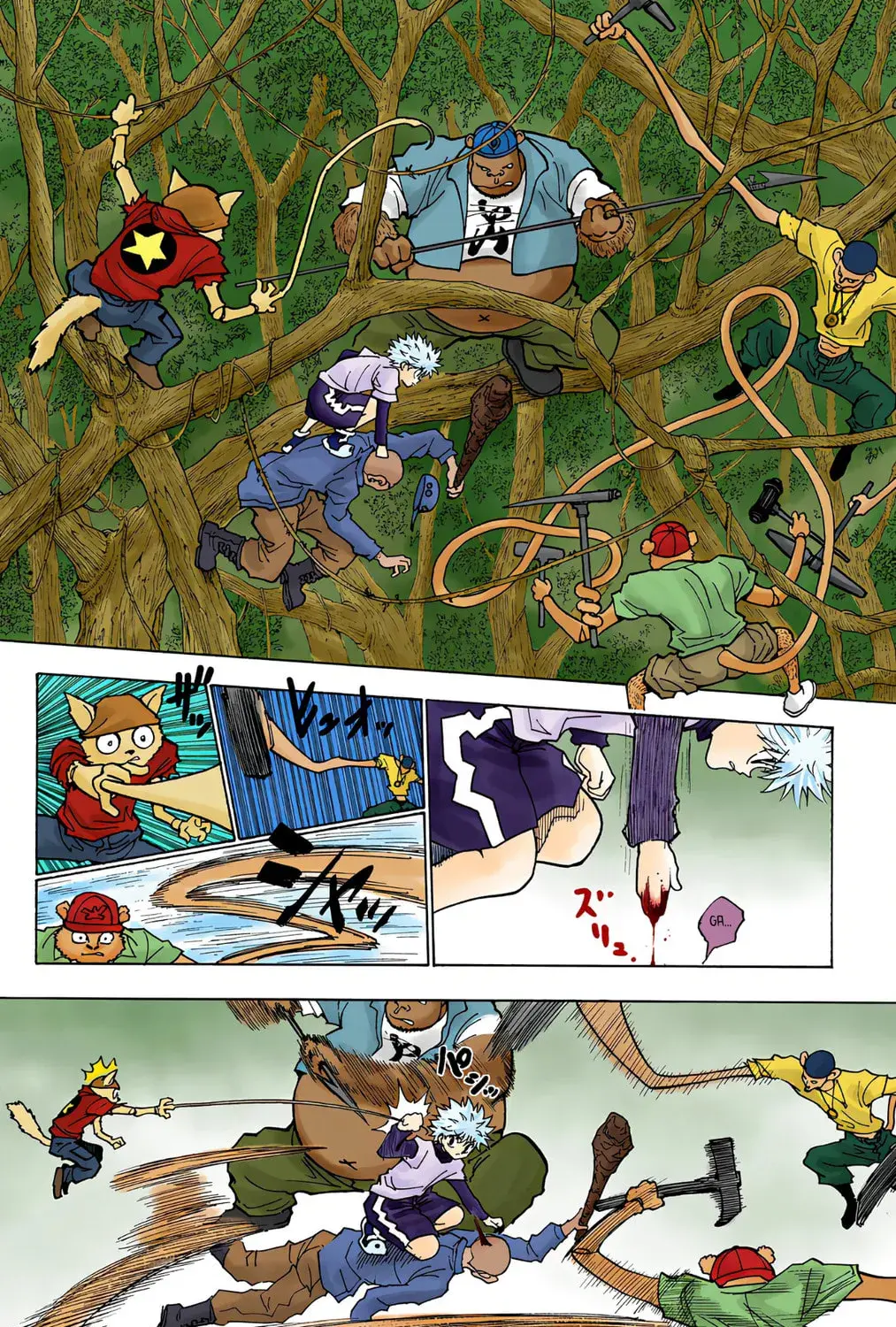 Hunter x Hunter Colored Manga, chapter 236, page 13