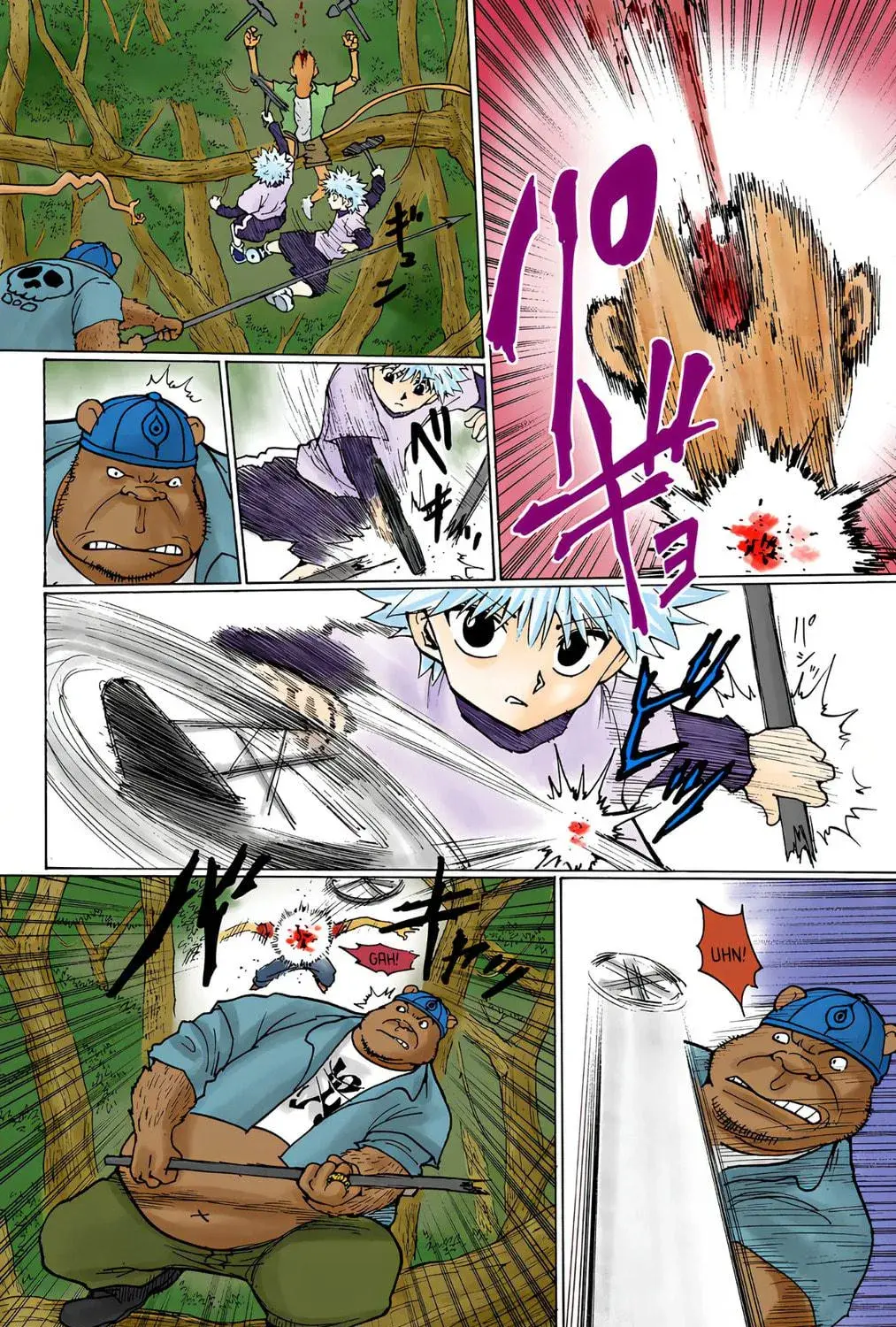 Hunter x Hunter Colored Manga, chapter 236, page 17