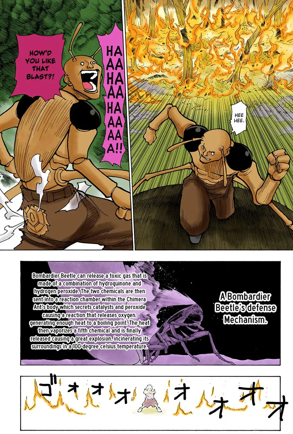 Hunter x Hunter Colored Manga, chapter 236, page 25