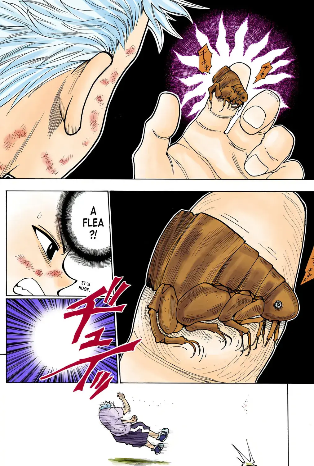 Hunter x Hunter Colored Manga, chapter 236, page 31
