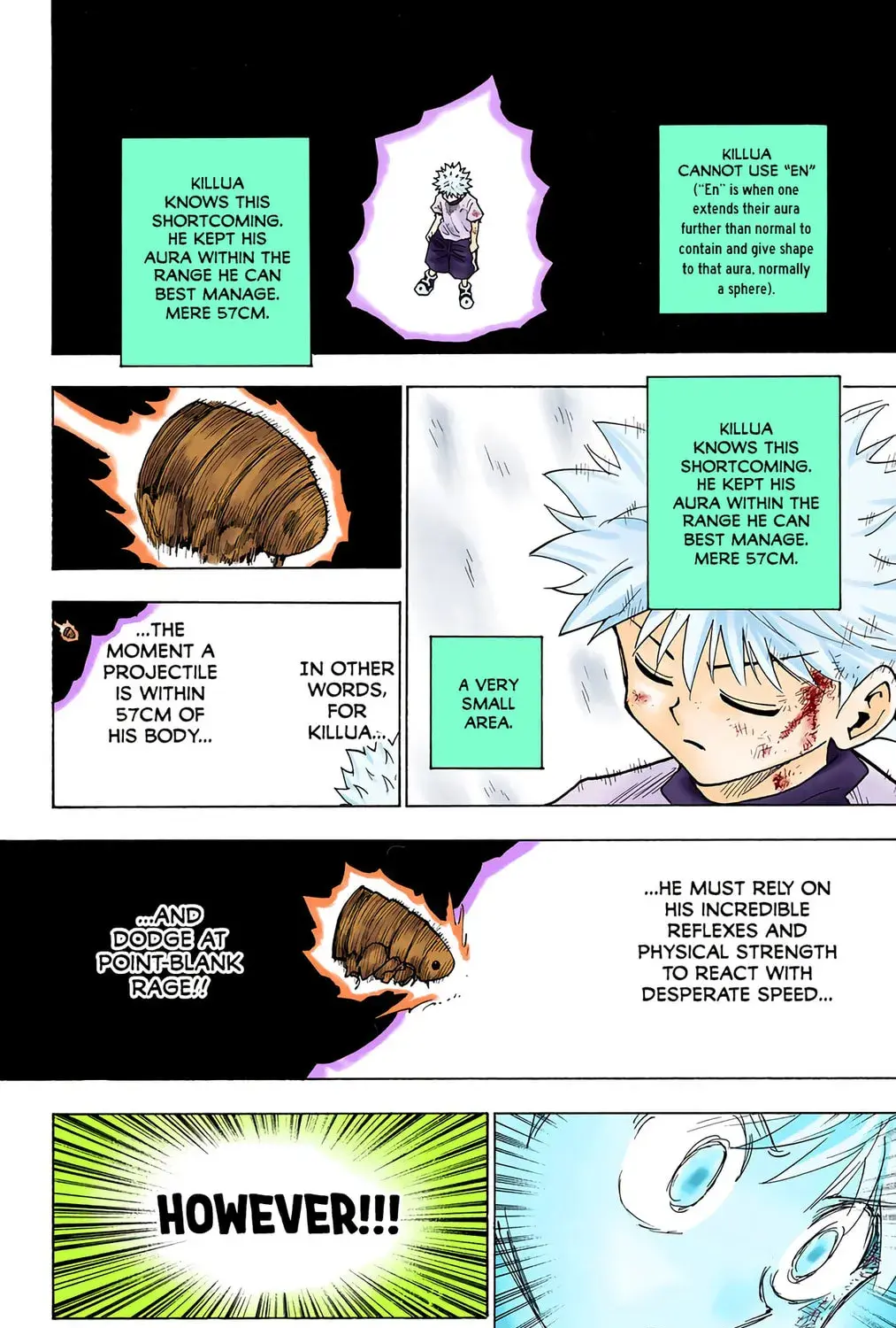 Hunter x Hunter Colored Manga, chapter 237, page 13