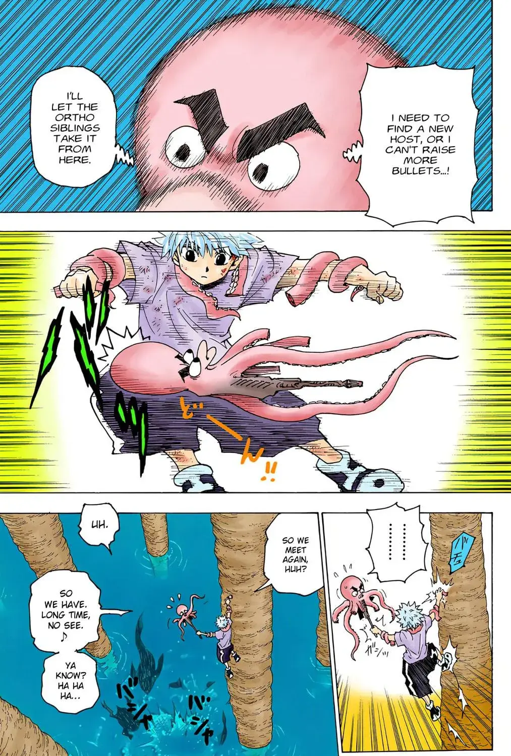 Hunter x Hunter Colored Manga, chapter 238, page 9