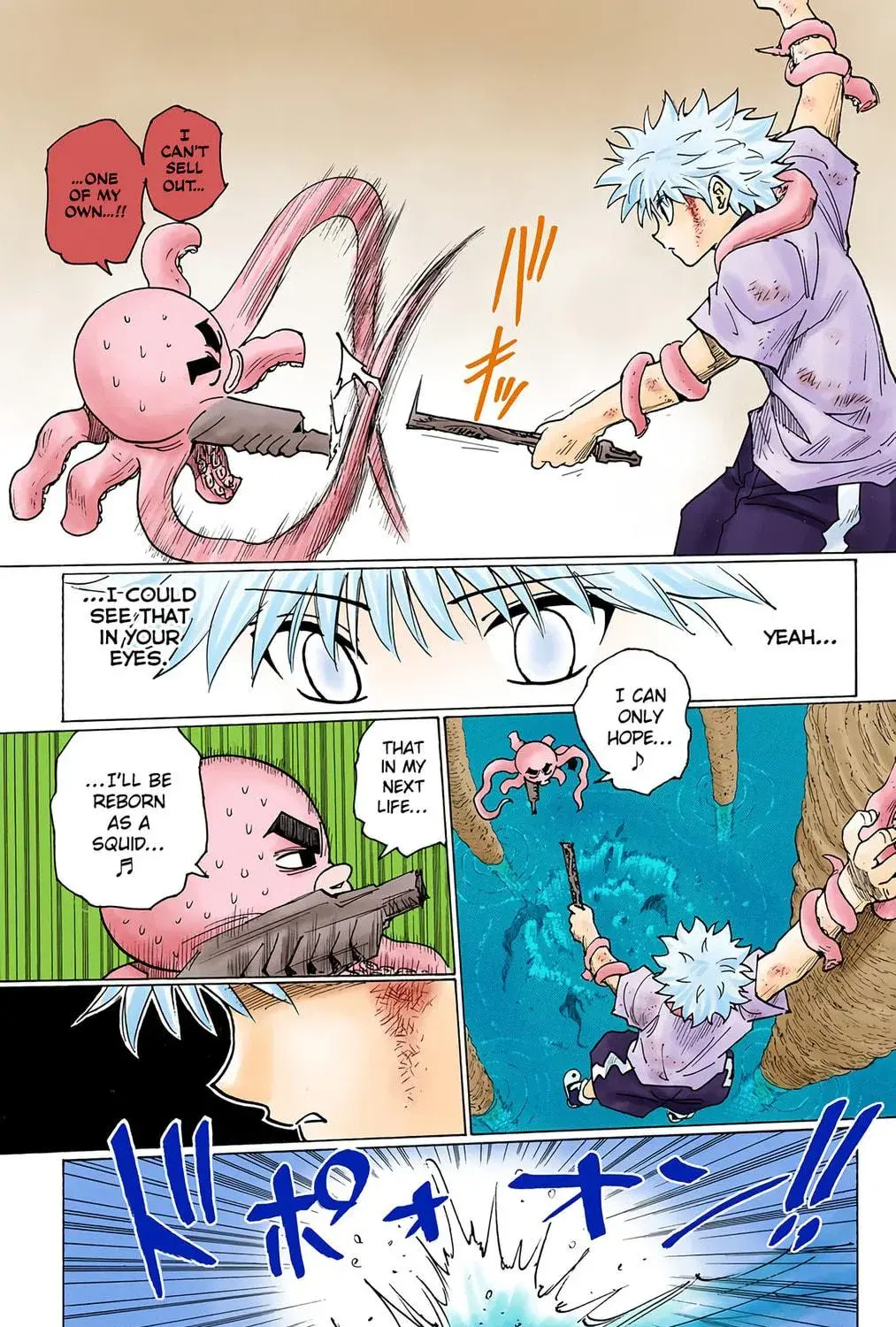 Hunter x Hunter Colored Manga, chapter 238, page 17