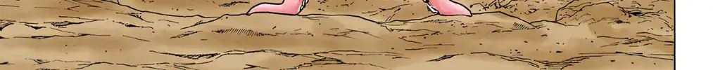 Hunter x Hunter Colored Manga, chapter 238, page 22