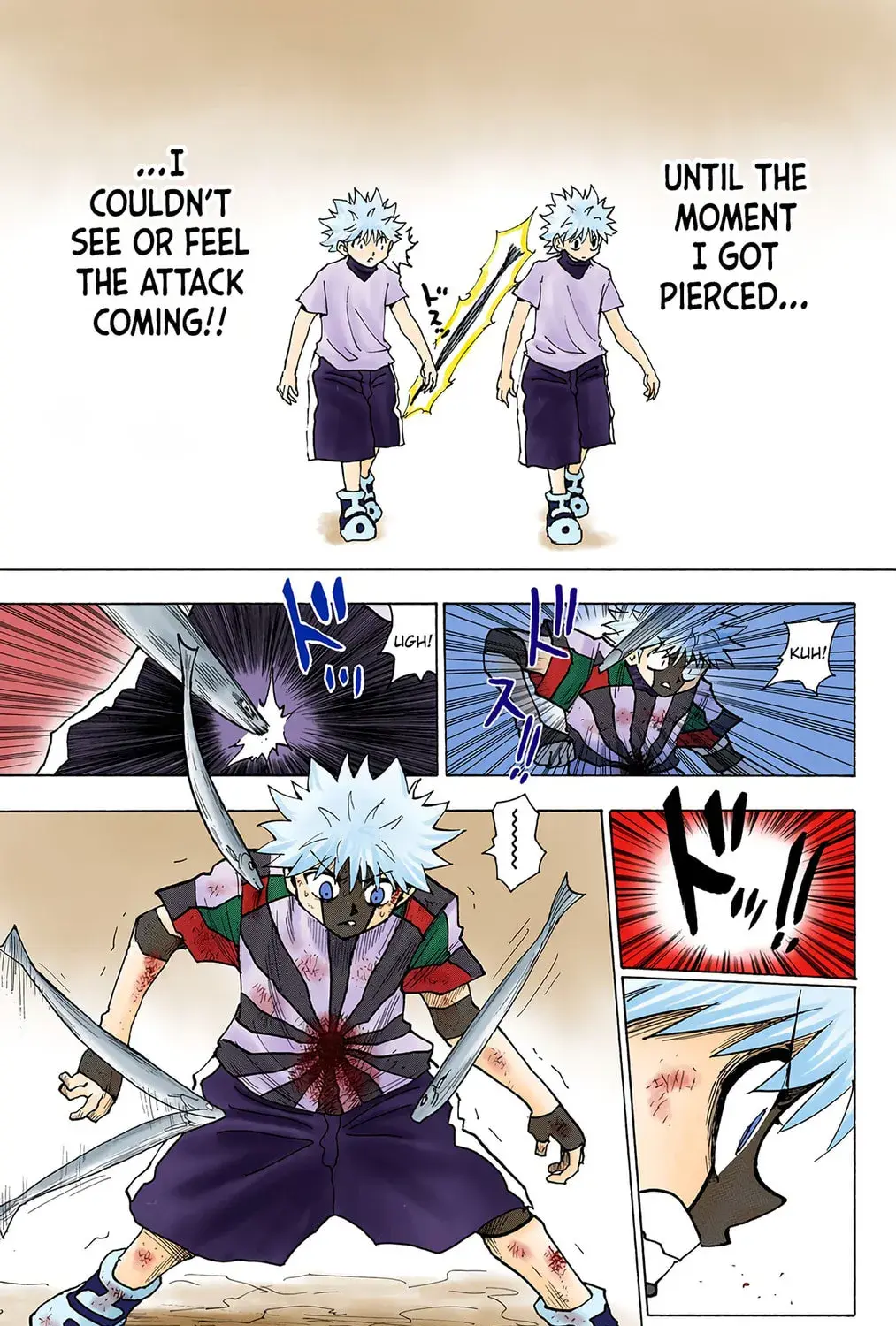 Hunter x Hunter Colored Manga, chapter 239, page 13