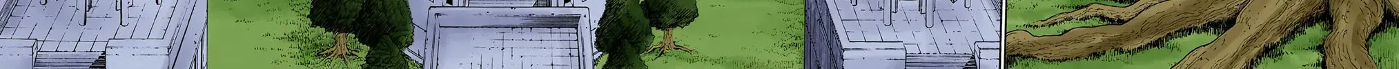 Hunter x Hunter Colored Manga, chapter 246, page 4