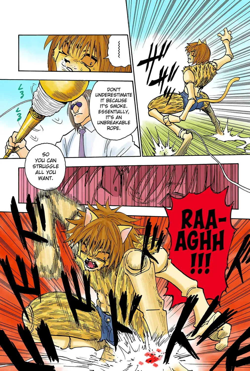 Hunter x Hunter Colored Manga, chapter 247, page 25