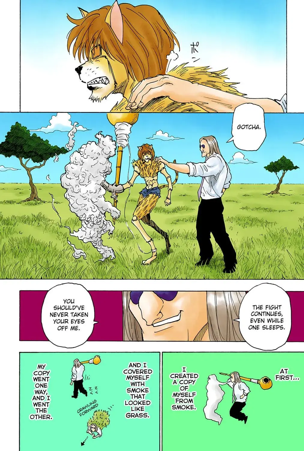 Hunter x Hunter Colored Manga, chapter 248, page 17