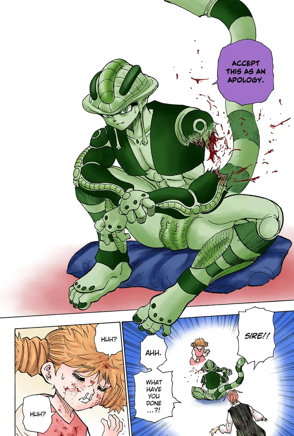 Hunter x Hunter Colored Manga, chapter 249, page 15