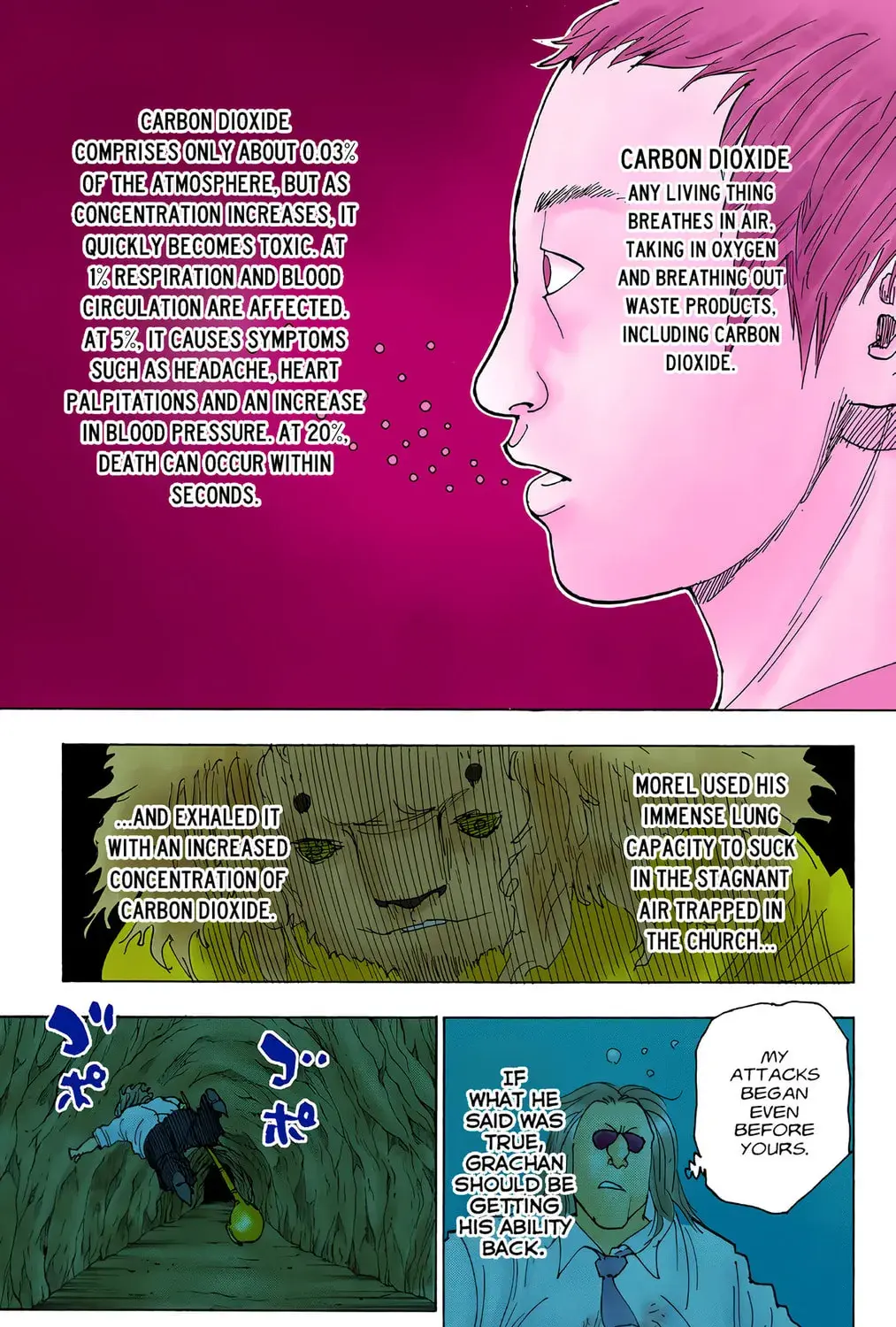 Hunter x Hunter Colored Manga, chapter 254, page 25