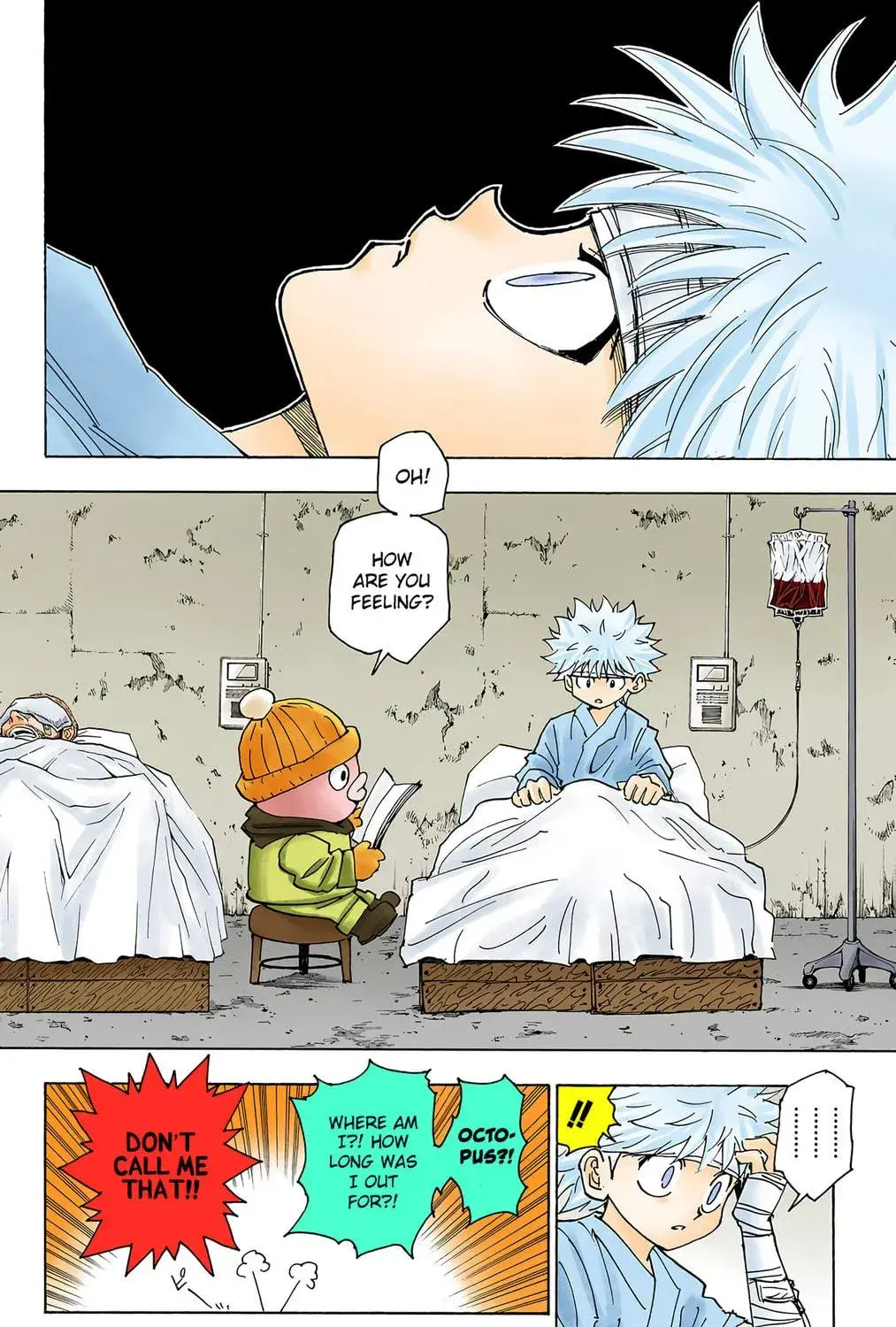 Hunter x Hunter Colored Manga, chapter 255, page 5