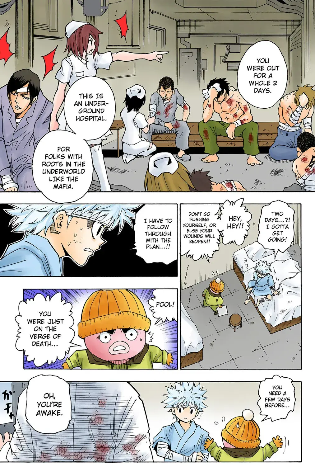 Hunter x Hunter Colored Manga, chapter 255, page 7