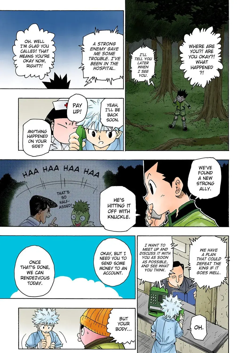 Hunter x Hunter Colored Manga, chapter 255, page 11