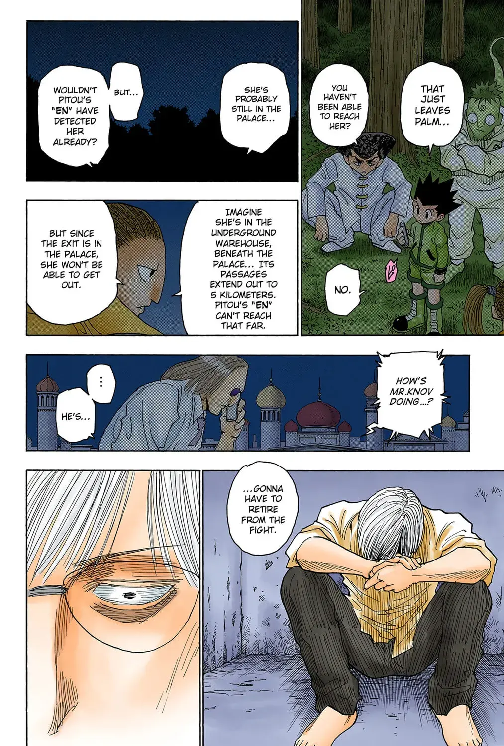Hunter x Hunter Colored Manga, chapter 255, page 25