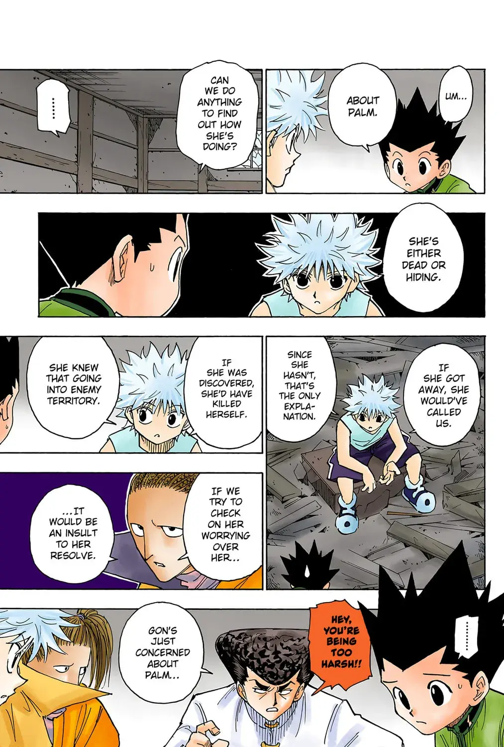 Hunter x Hunter Colored Manga, chapter 256, page 13