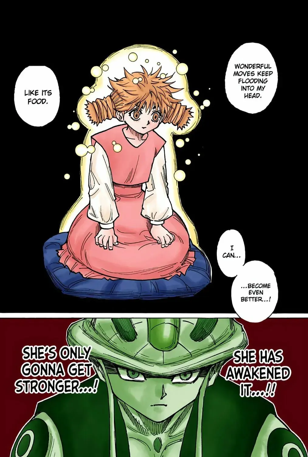 Hunter x Hunter Colored Manga, chapter 257, page 7