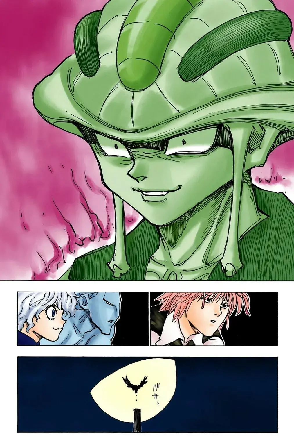 Hunter x Hunter Colored Manga, chapter 257, page 29