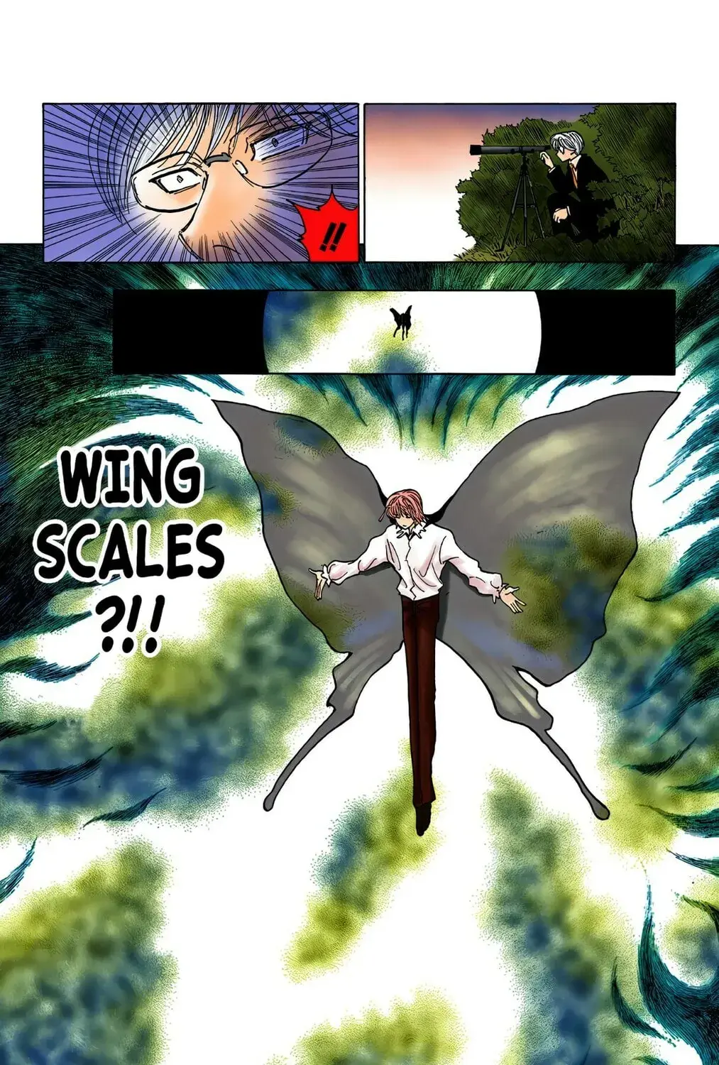 Hunter x Hunter Colored Manga, chapter 259, page 27