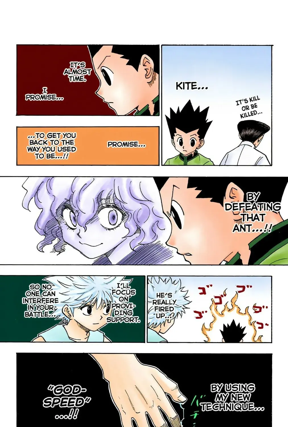 Hunter x Hunter Colored Manga, chapter 260, page 13