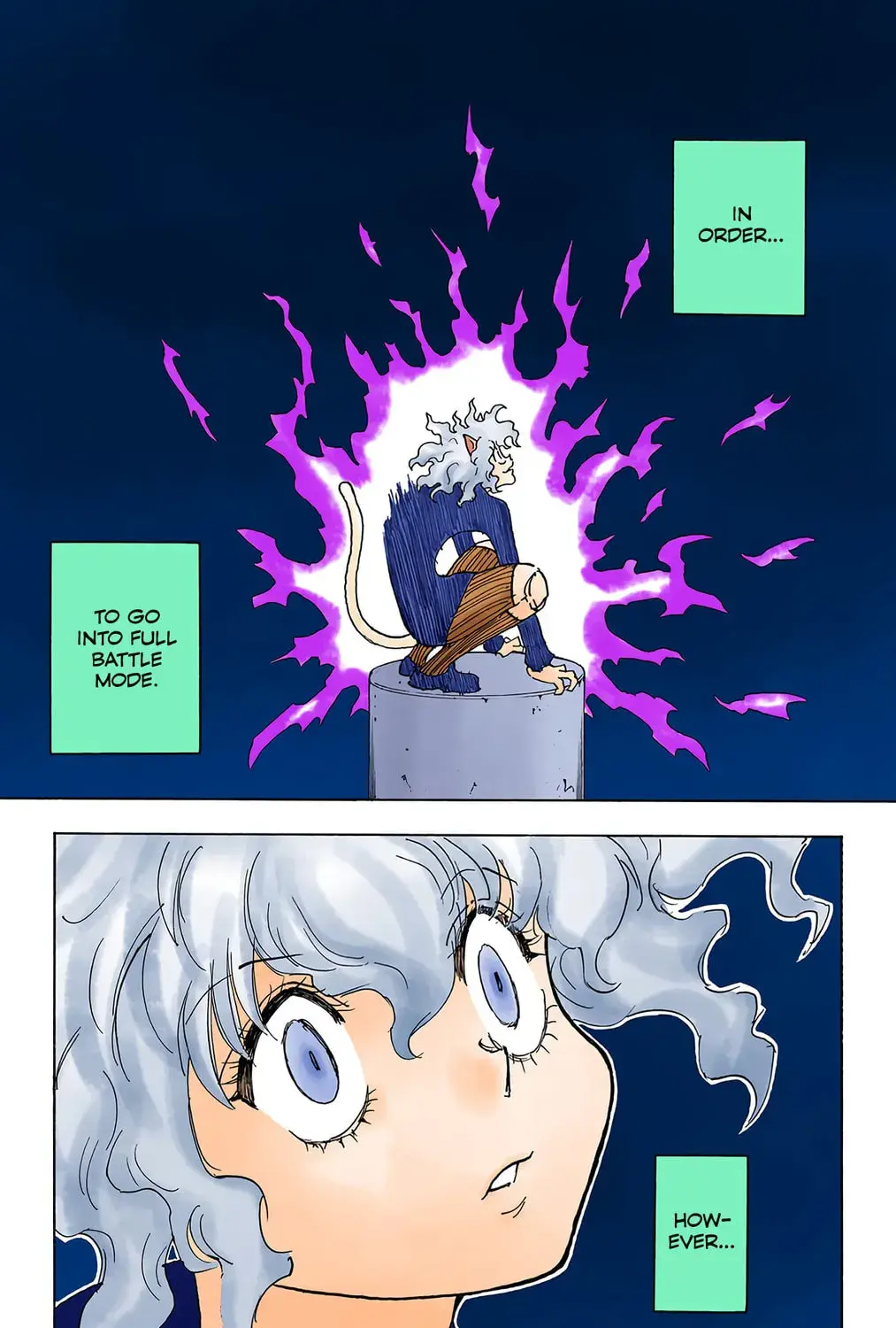 Hunter x Hunter Colored Manga, chapter 263, page 27