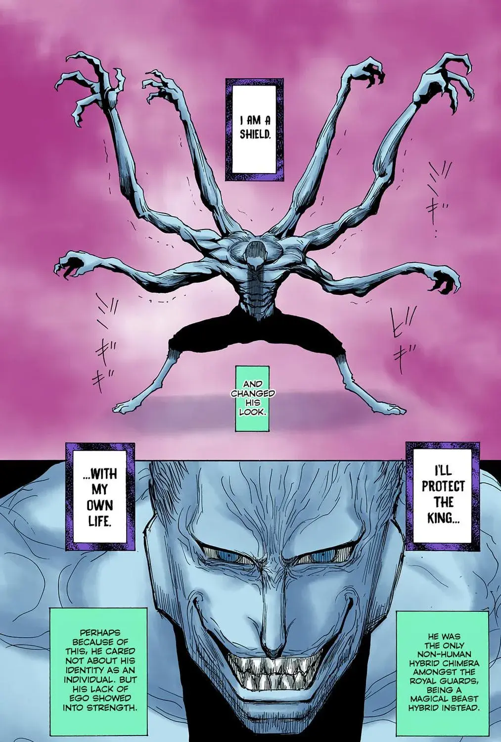 Hunter x Hunter Colored Manga, chapter 266, page 5