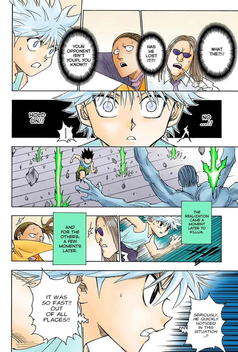 Hunter x Hunter Colored Manga, chapter 266, page 17