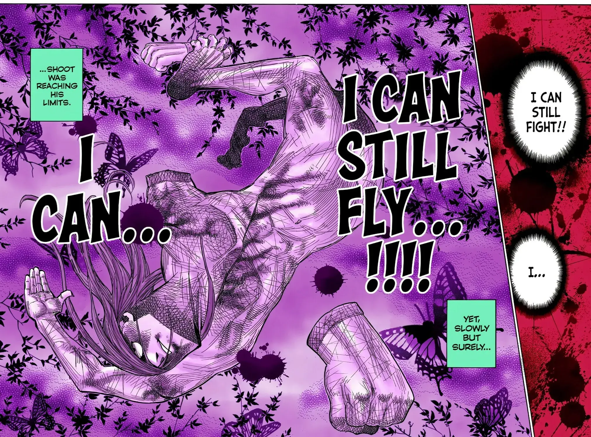 Hunter x Hunter Colored Manga, chapter 272, page 25