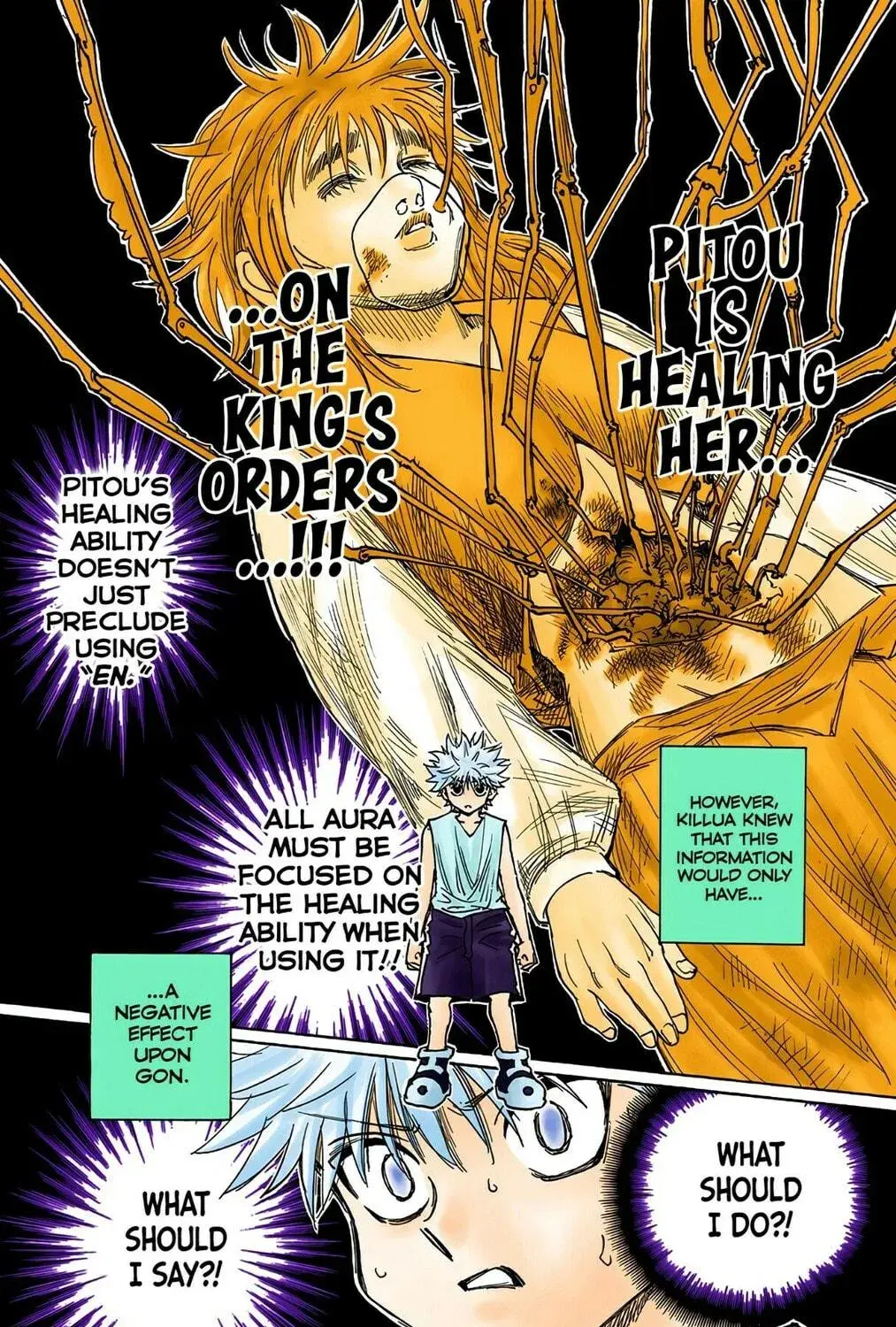 Hunter x Hunter Colored Manga, chapter 274, page 23
