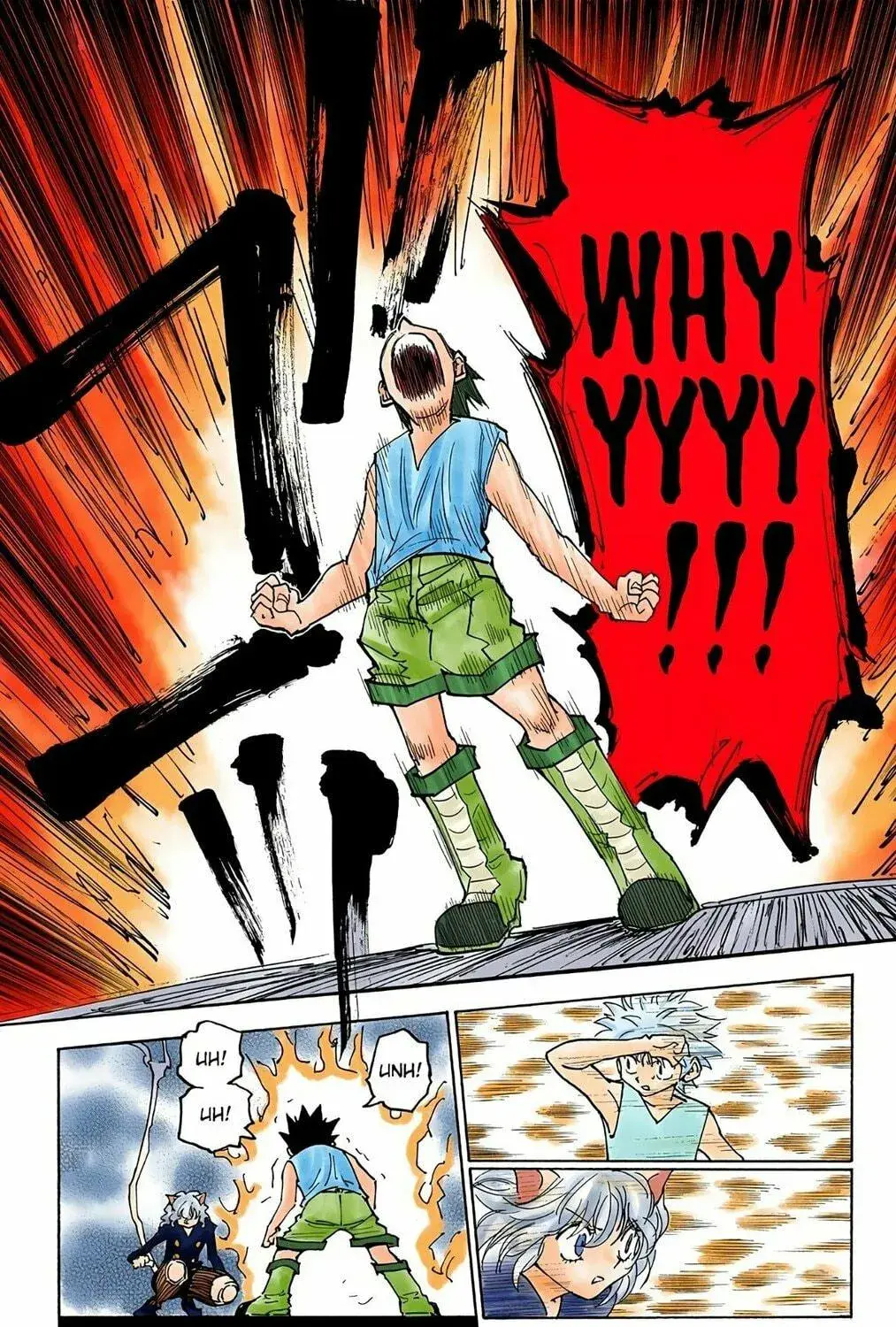 Hunter x Hunter Colored Manga, chapter 275, page 17