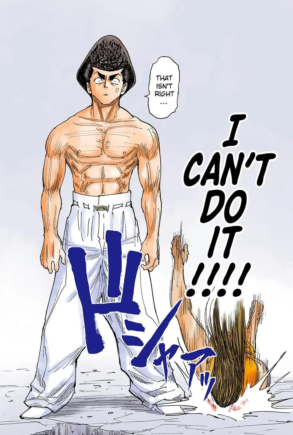 Hunter x Hunter Colored Manga, chapter 277, page 19