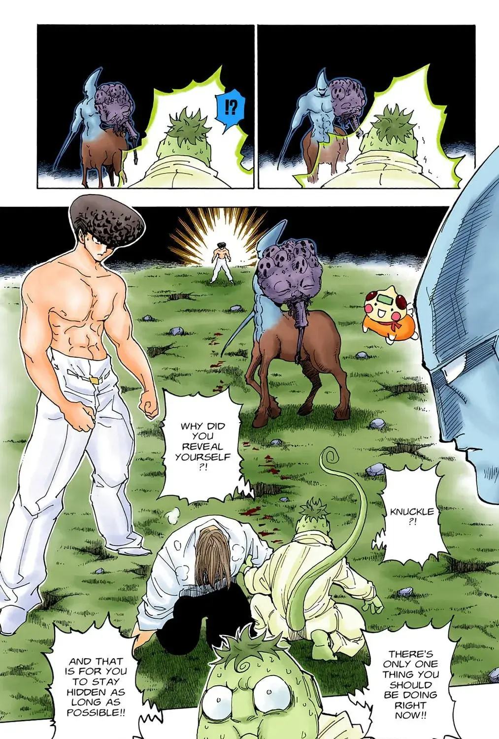 Hunter x Hunter Colored Manga, chapter 289, page 9