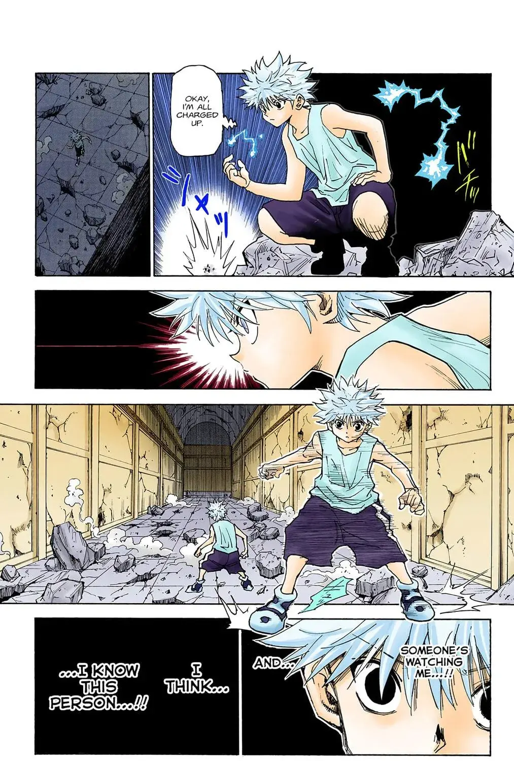Hunter x Hunter Colored Manga, chapter 293, page 5