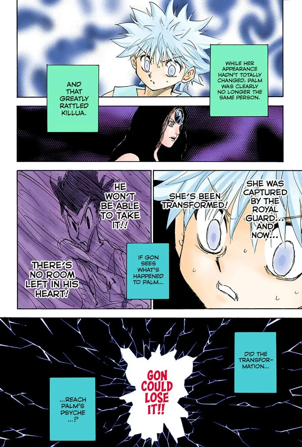 Hunter x Hunter Colored Manga, chapter 293, page 11