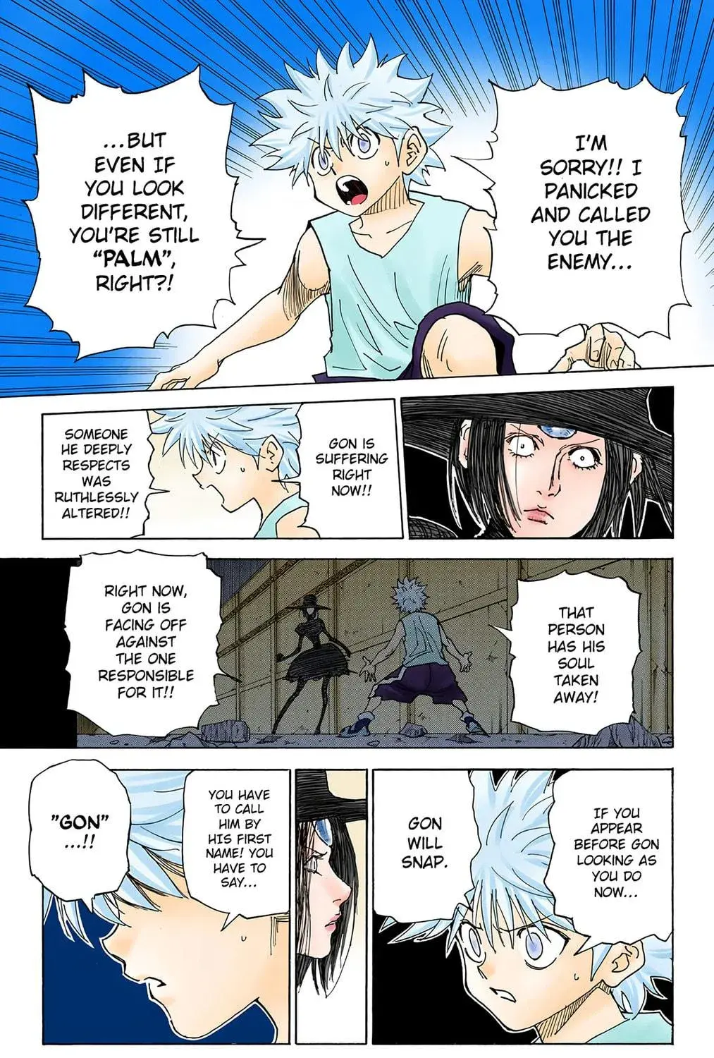Hunter x Hunter Colored Manga, chapter 294, page 9