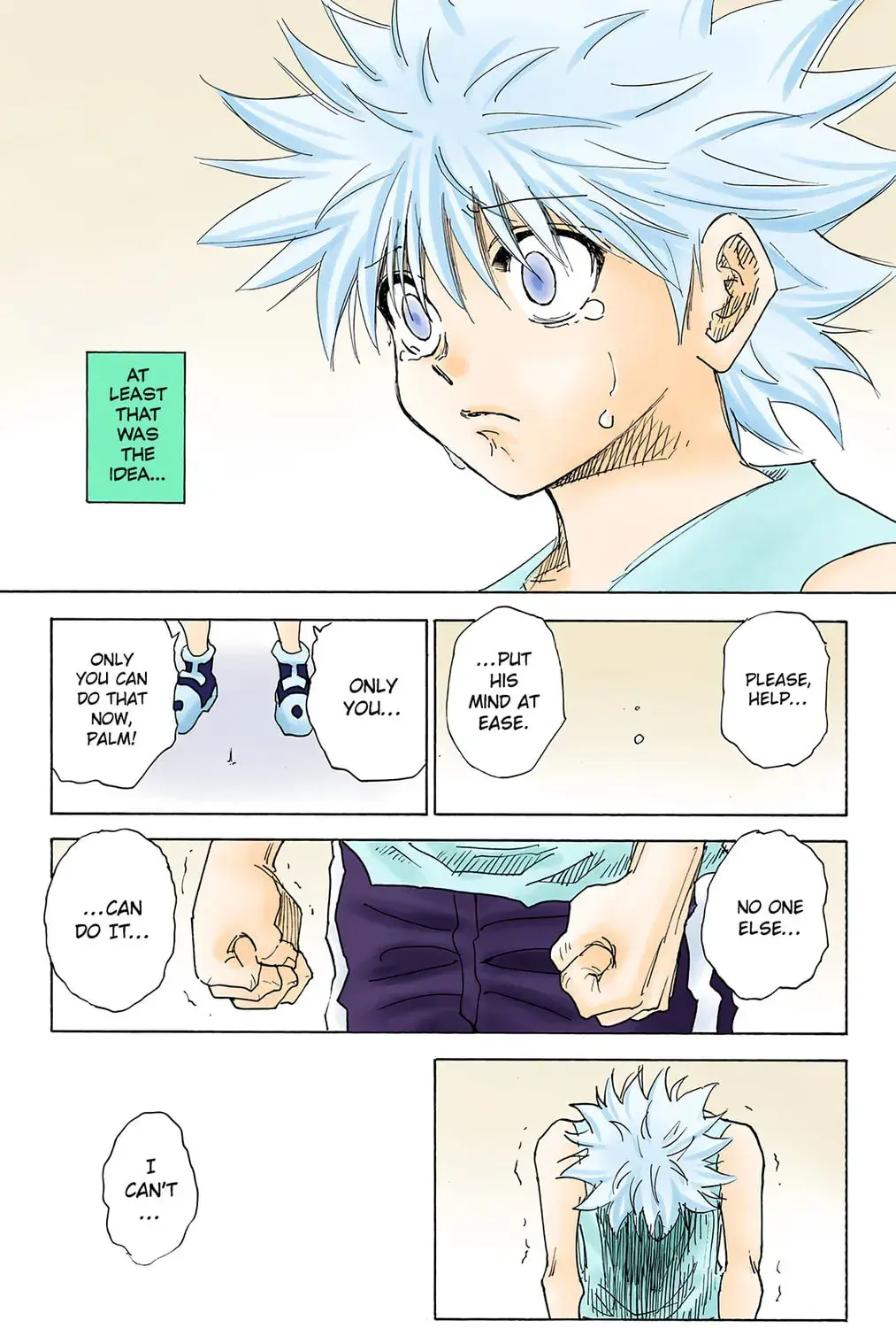 Hunter x Hunter Colored Manga, chapter 294, page 13