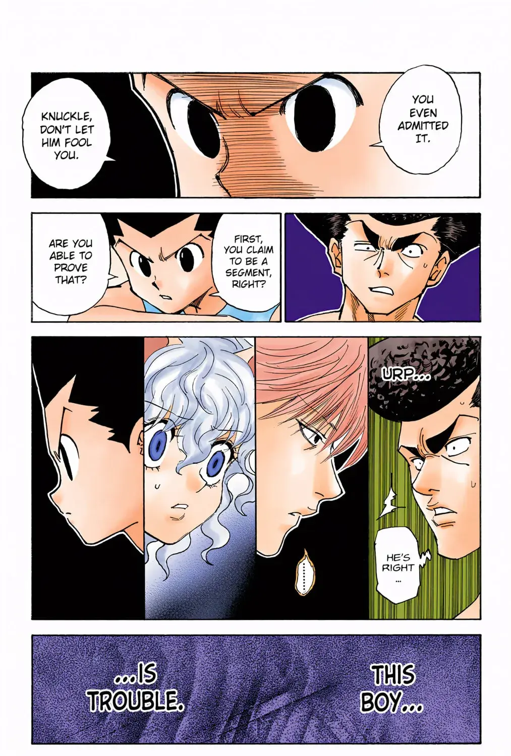 Hunter x Hunter Colored Manga, chapter 295, page 13