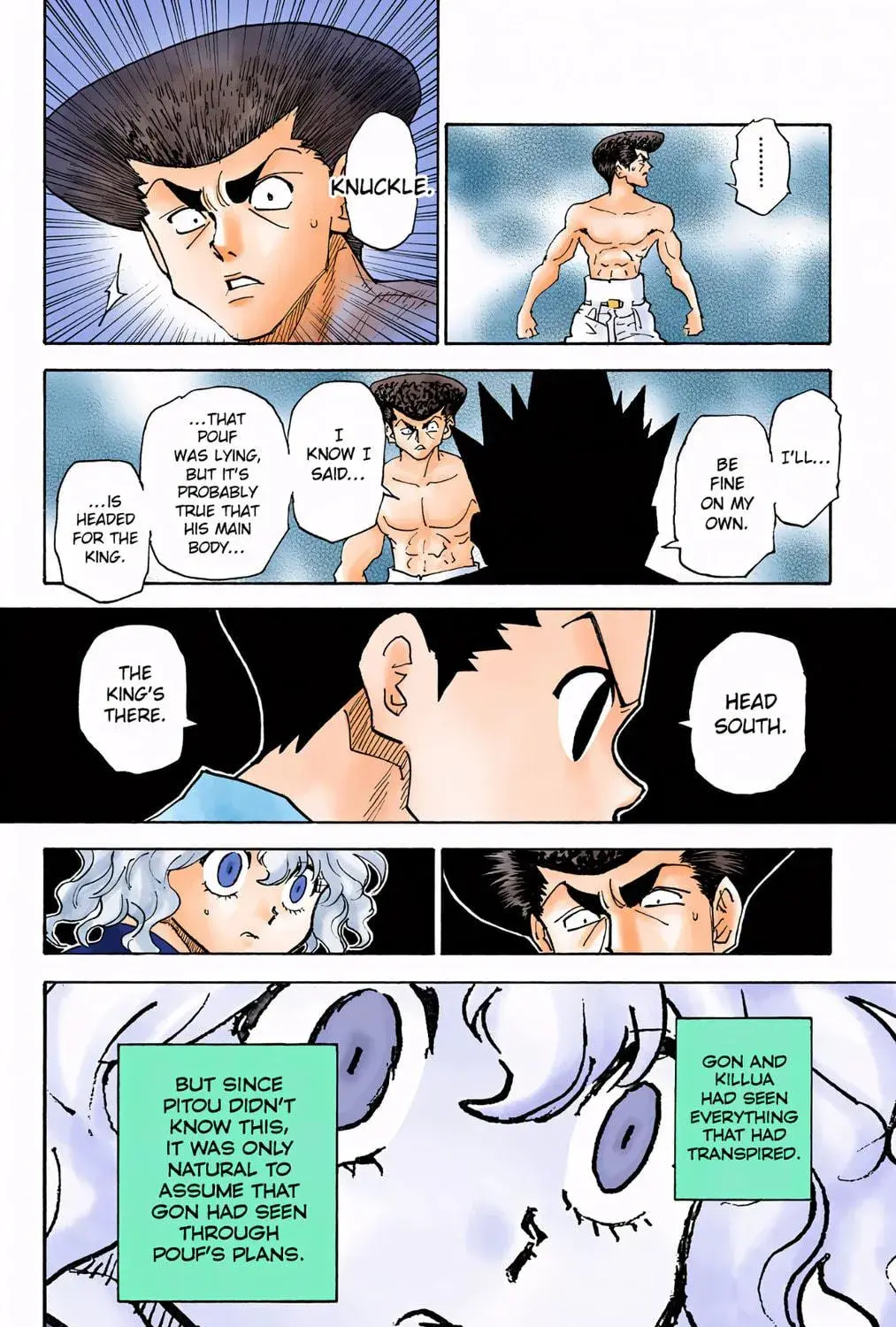 Hunter x Hunter Colored Manga, chapter 295, page 29