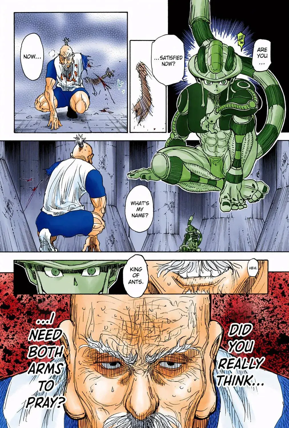 Hunter x Hunter Colored Manga, chapter 297, page 17