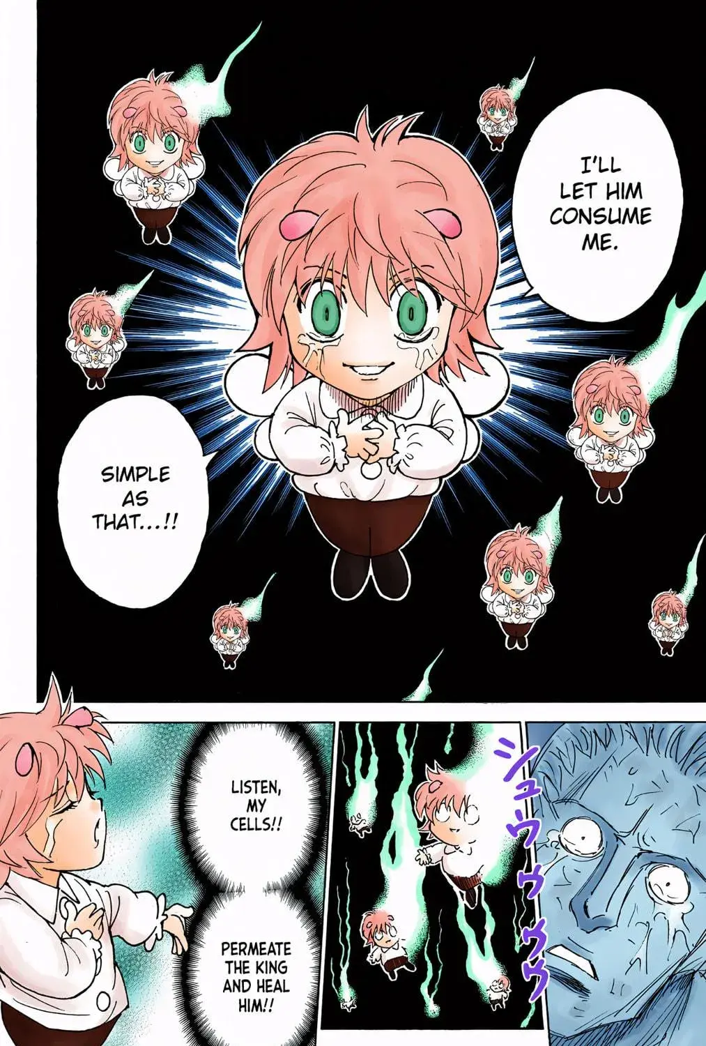 Hunter x Hunter Colored Manga, chapter 299, page 9