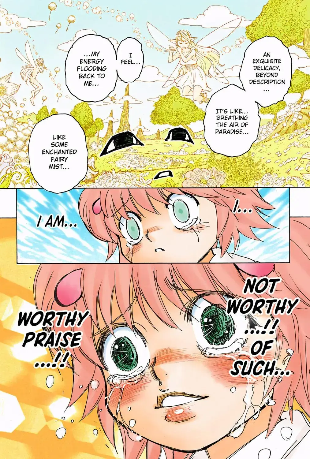 Hunter x Hunter Colored Manga, chapter 299, page 17
