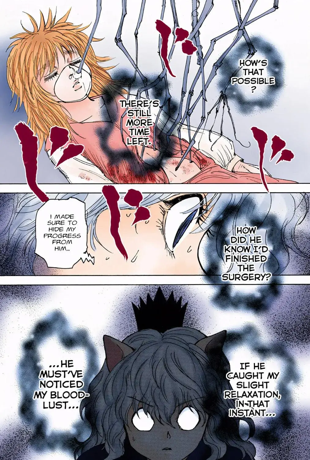 Hunter x Hunter Colored Manga, chapter 300, page 17