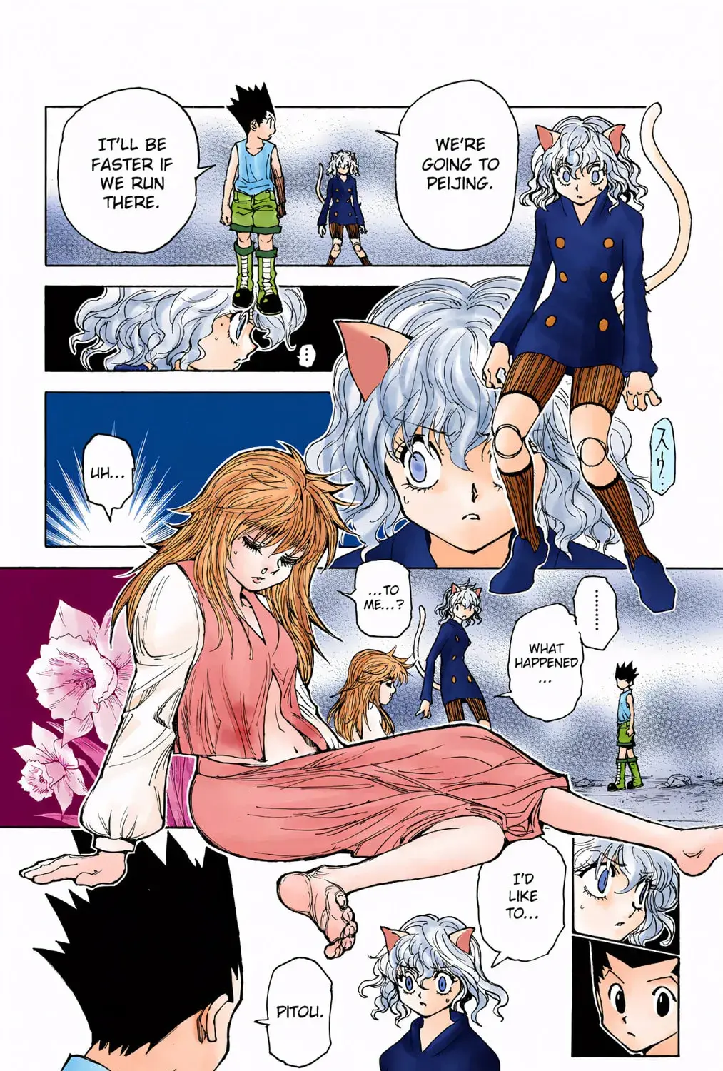 Hunter x Hunter Colored Manga, chapter 300, page 21